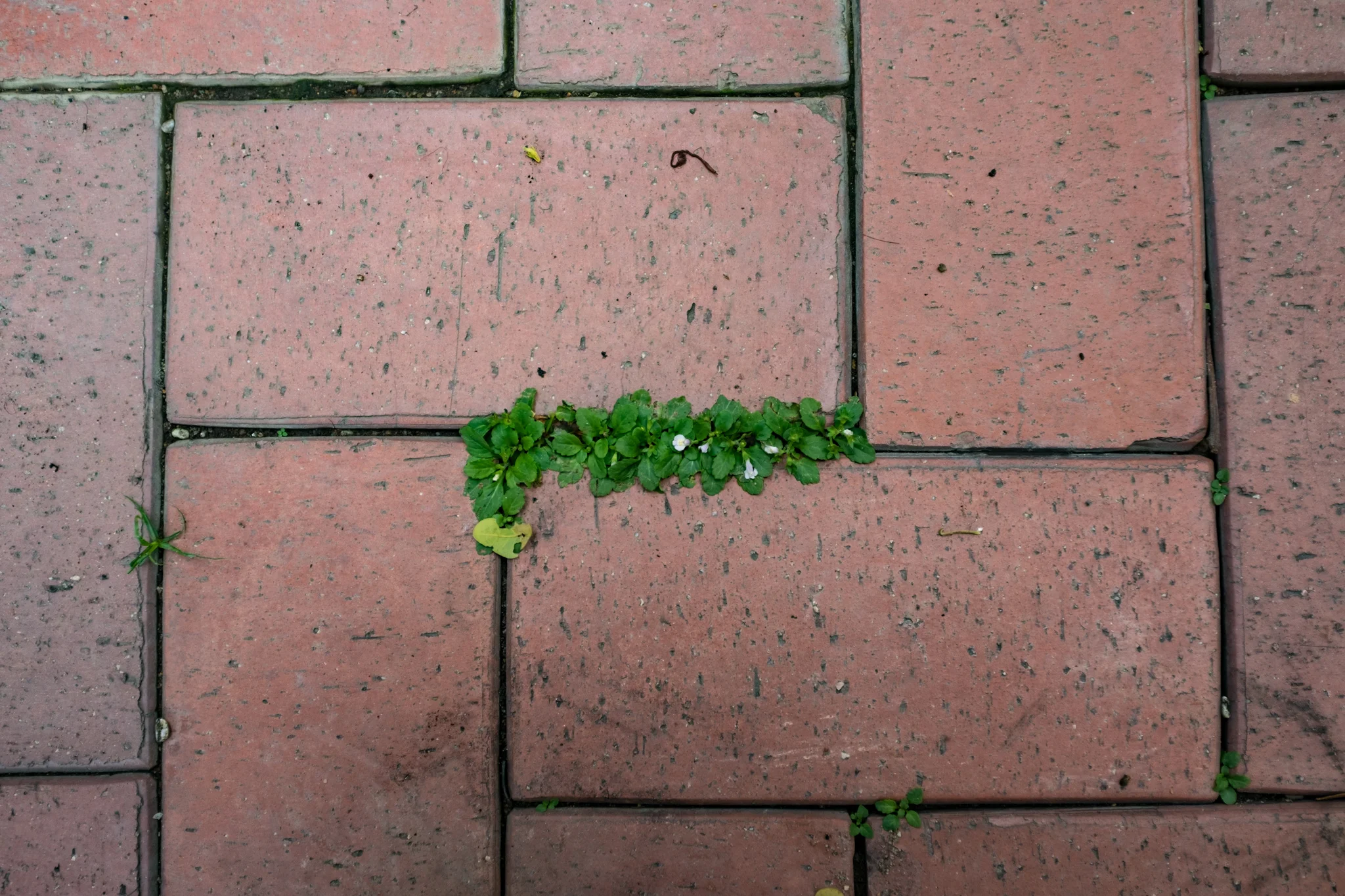 April 2017, Singapore.