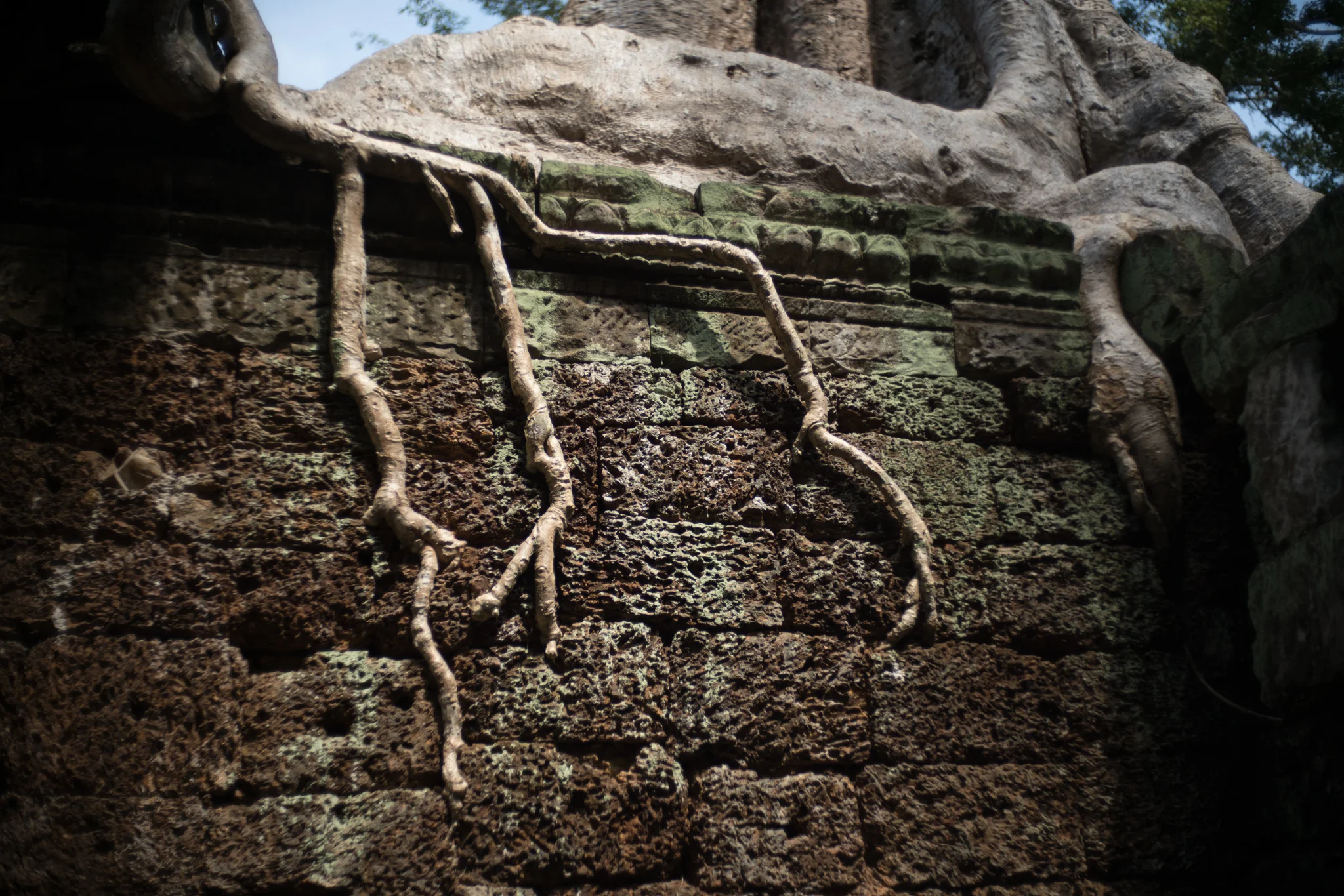 January 2017, Angkor (អង្គរ), Kingdom of Cambodia (ព្រះរាជាណាចក្រកម្ពុជា).