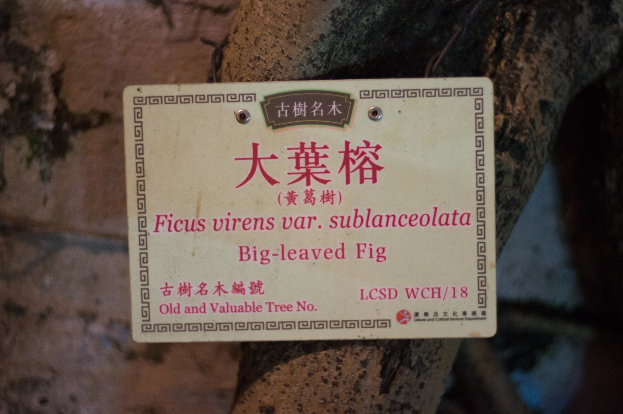 December 2011, Hong Kong. I was trying to remember why I wrote the first line the way I did, then I saw it.