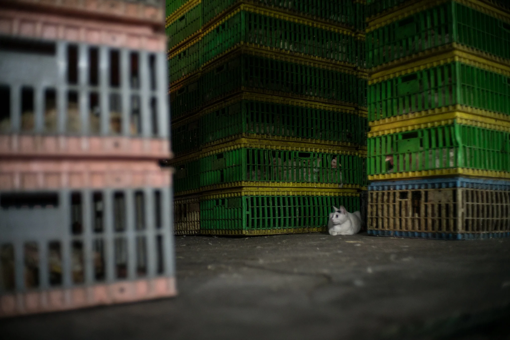 July 2017, Campbell Street Market, Georgetown, Penang, Malaysia.