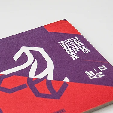 tramlines-festival-2016-alex-szabo-haslam-graphic-design-sheffield.jpg