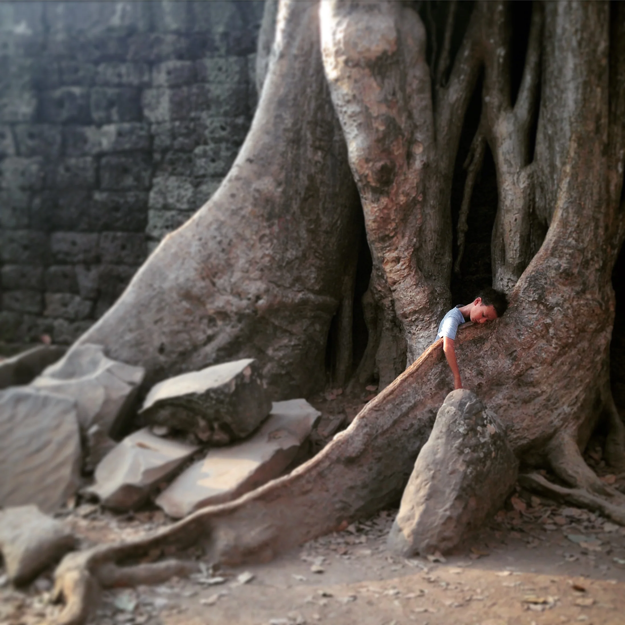 When Architects Travel - Ta Prohm, Cambodia