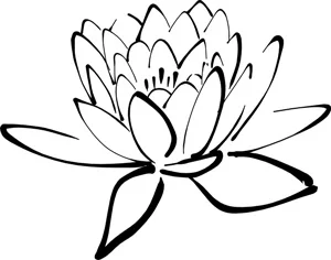 Meditiation & Mindfulness Day Workshop