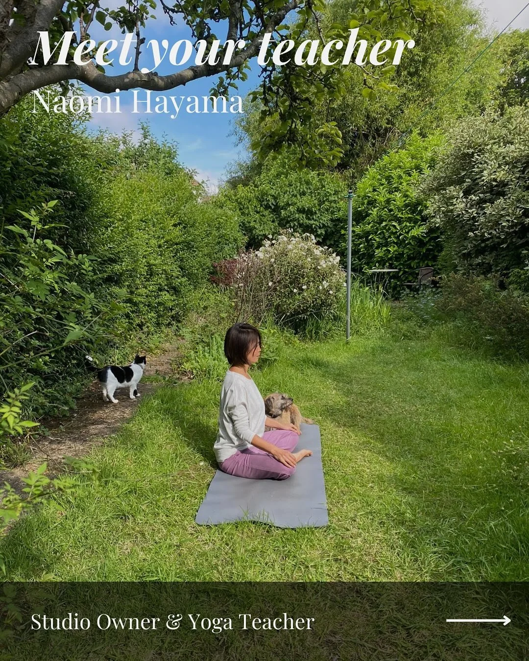 Meet our teachers: Naomi Hayama

Naomi began yoga young as her mum &amp; step dad are teachers. 

She&rsquo;s been teaching in Bristol since 2004, and created Bristol Yoga Centre in 2017. 

Naomi specialises in Vision Yoga, Somatic Movement, Mindfuln