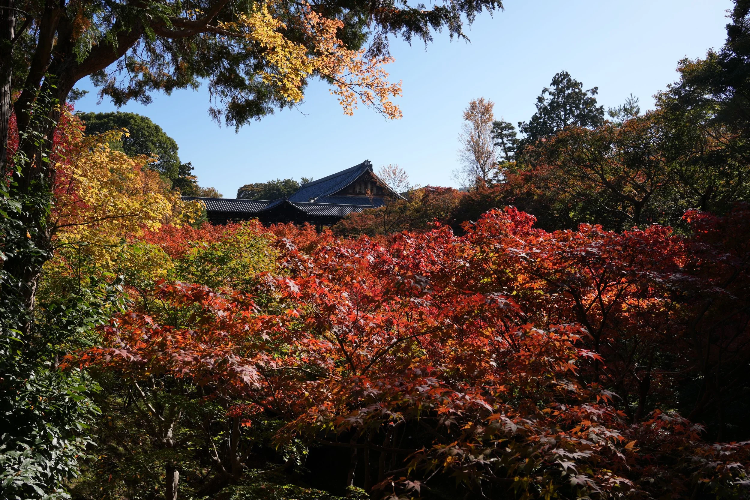 Hidden Japan : Yoga, Onsen Spa and Cultural Retreat