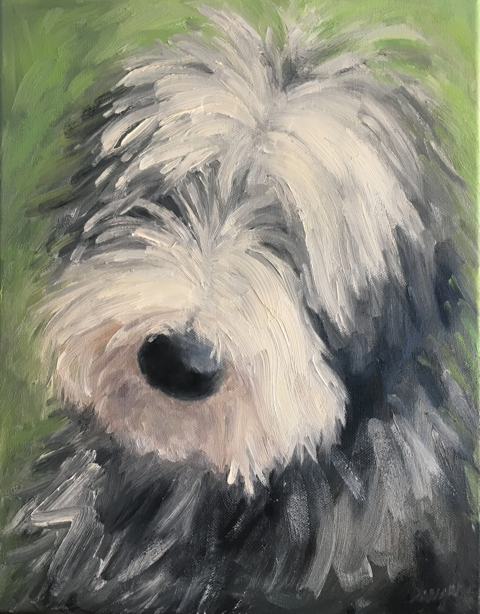 Finn 11 x 14