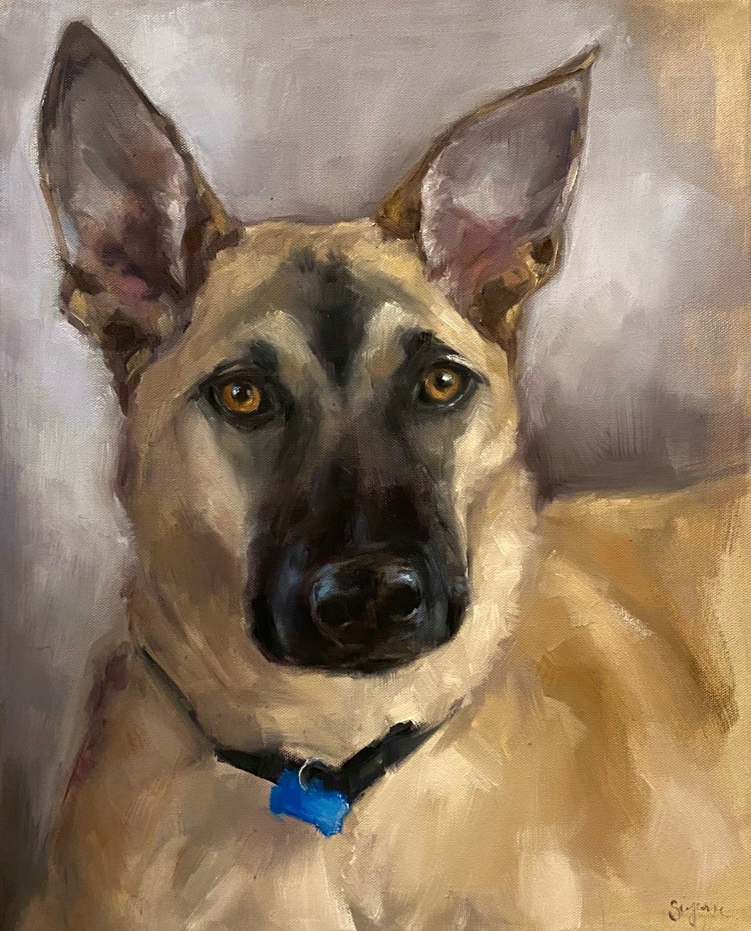 Sherpa 16 x 20