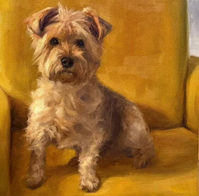 Taz II 12 x 12