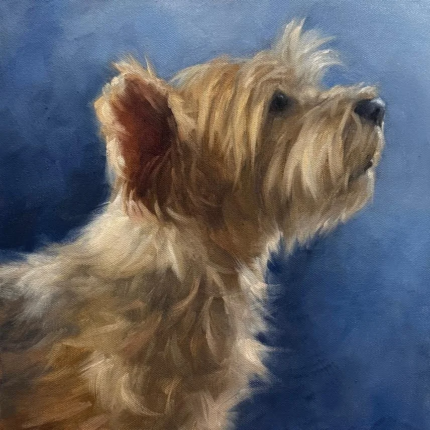 Taz 2 12 x 12