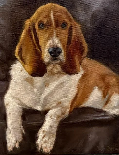 Dooley 11 x 14