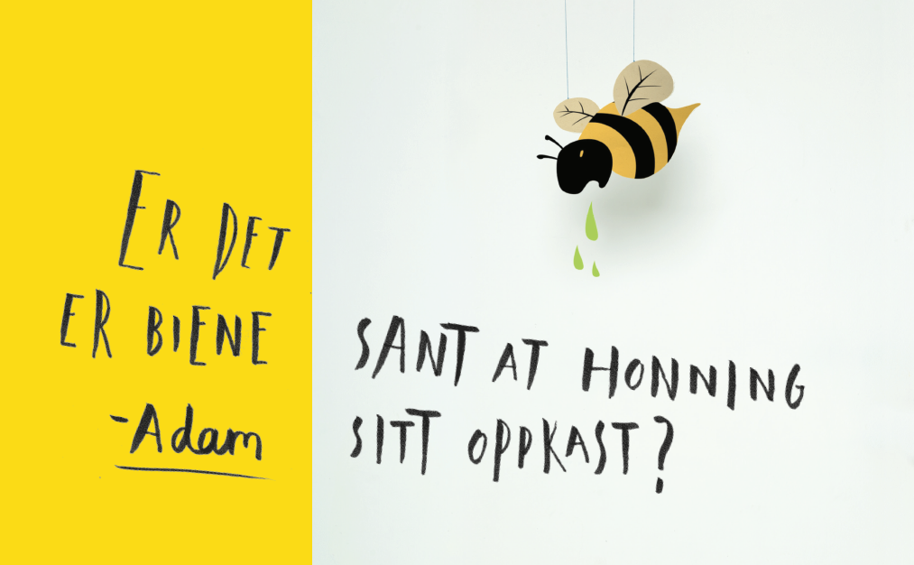 hvorfor1.png