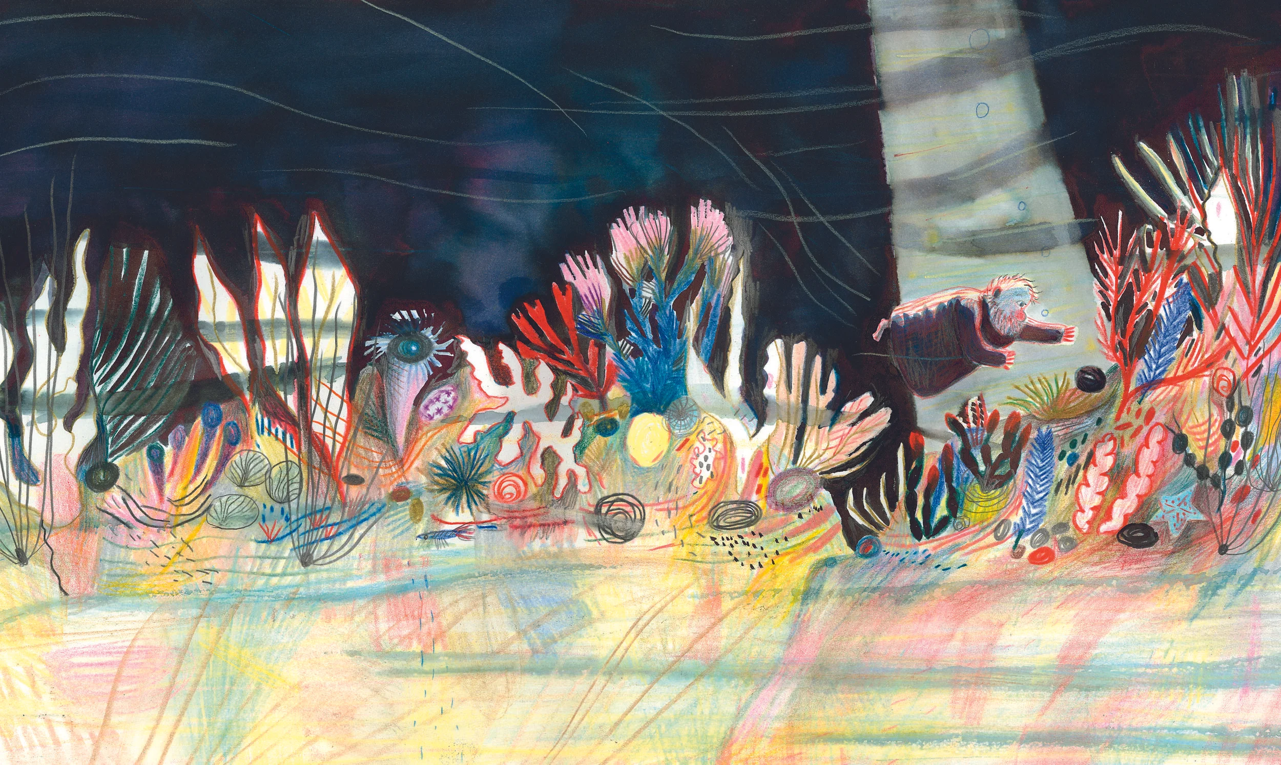 p63.jpg