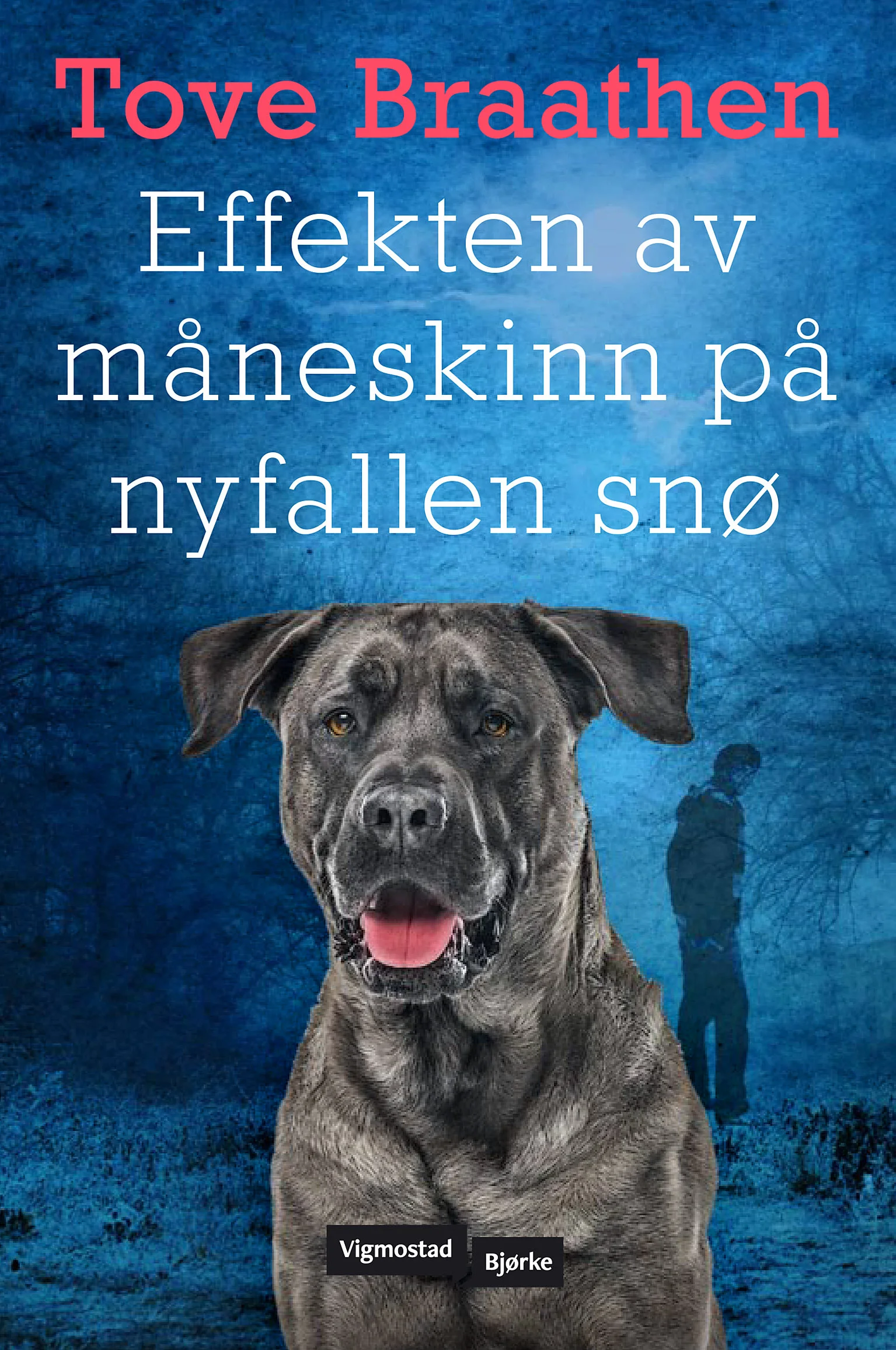 Effekten av måneskinn på nyfallen snø lanseres 27. august. Forhåndsbestill boken her