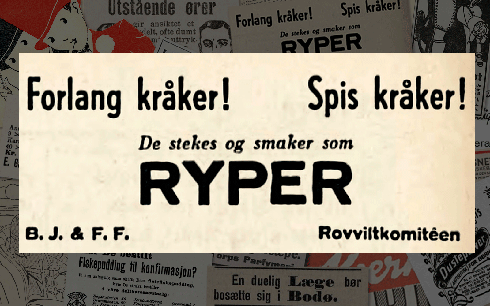 Under de karrige krigsårene anbefalte Rovviltkomitéen kråker som et fullgodt alternativ til ryper (annonse fra Aftenposten, 1944).