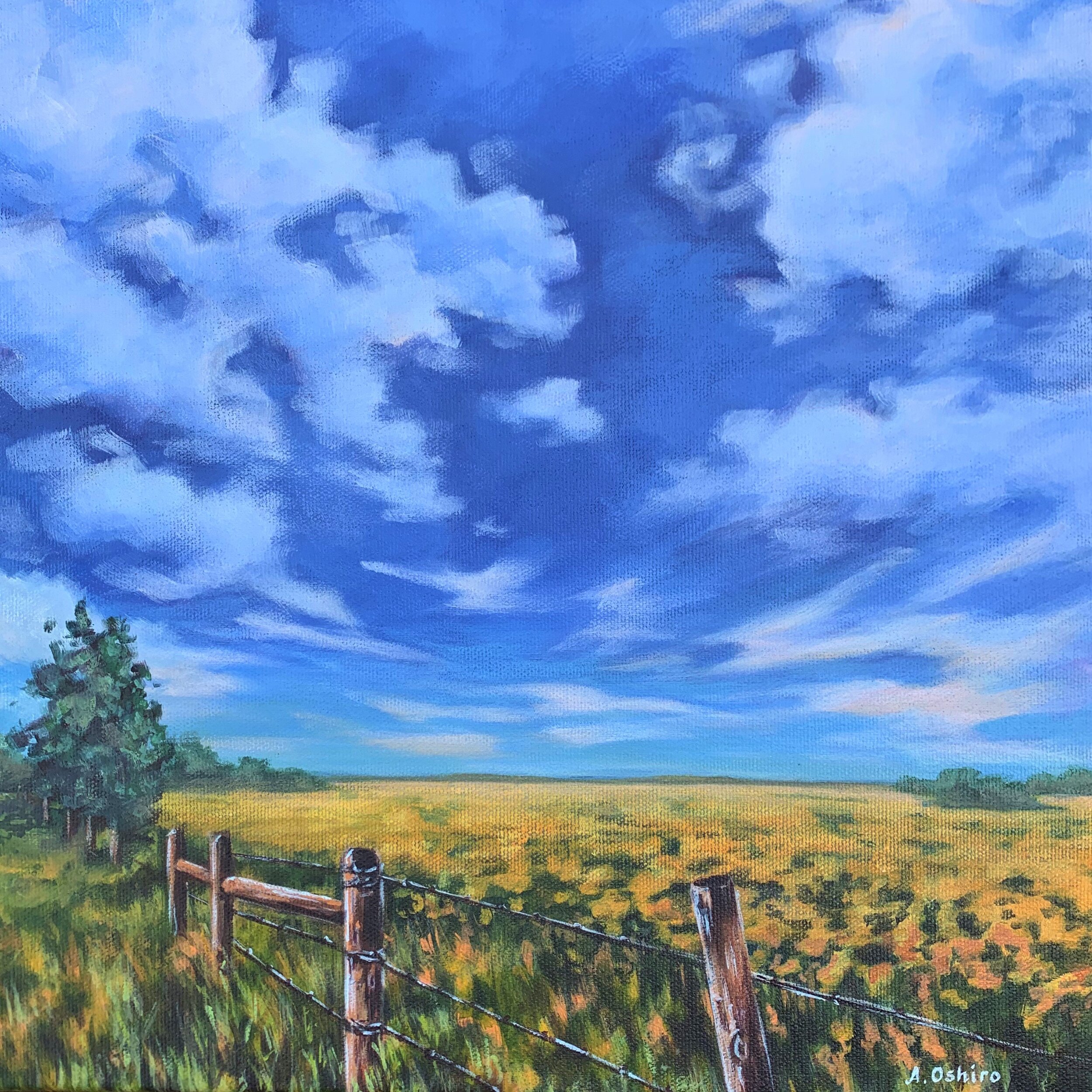 Alberta Skies 6 Acrylic Landscape Painting Big sky clouds with yellow canola field fence and tree by Ashley Oshiro, Calgary, Alberta, Local Fine Artist, Original Art