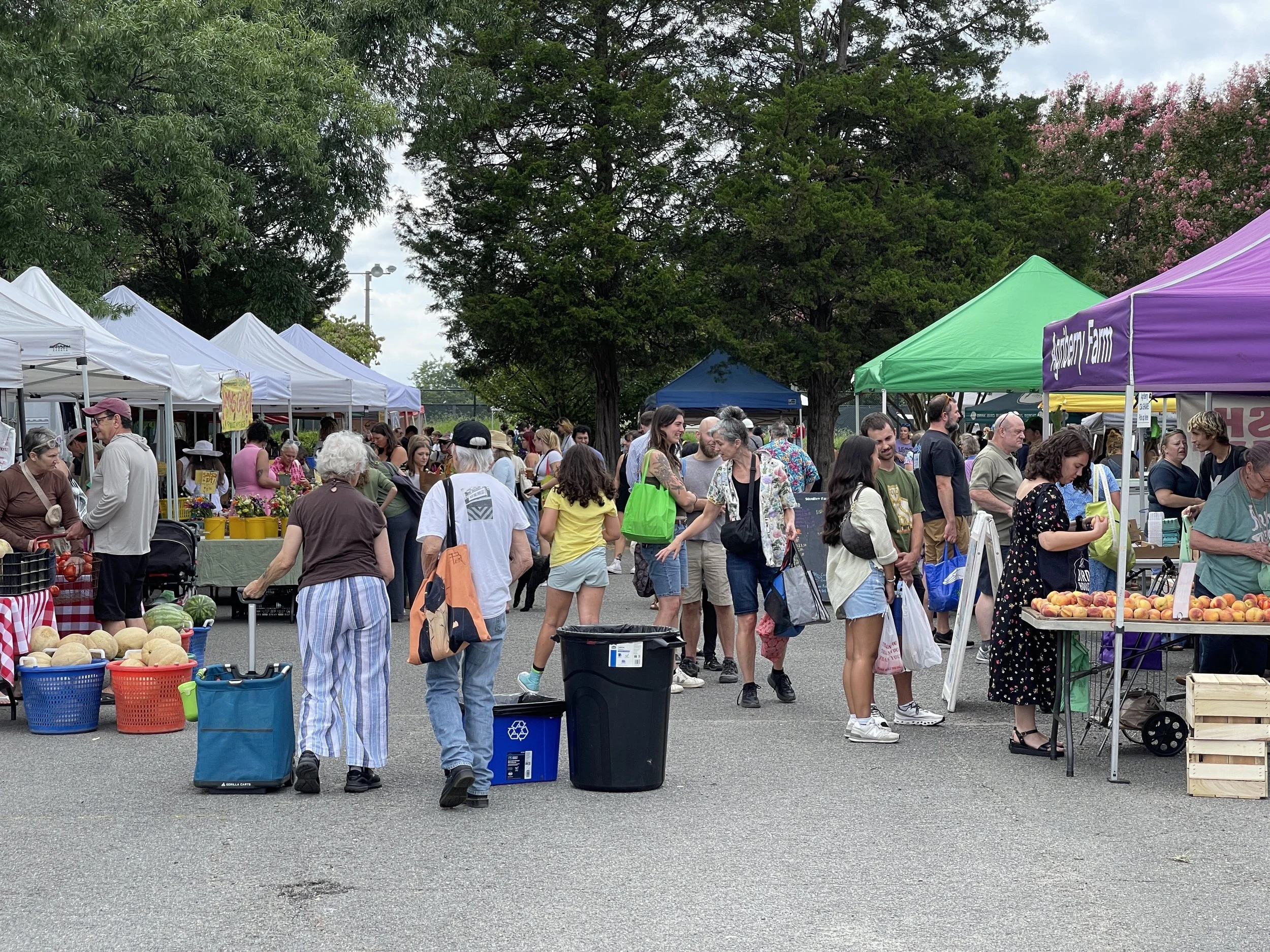 Birdhouse Farmers Market