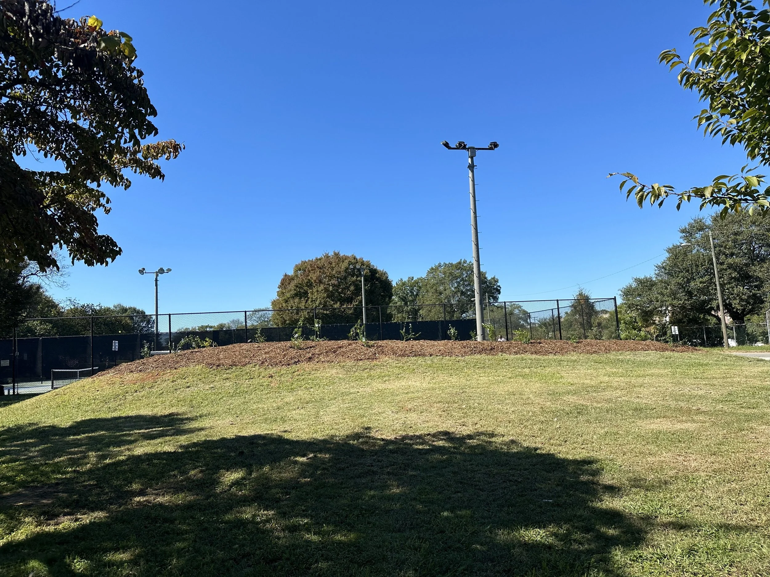 10_4_2025 - Blueberry Hill Install (1).jpg