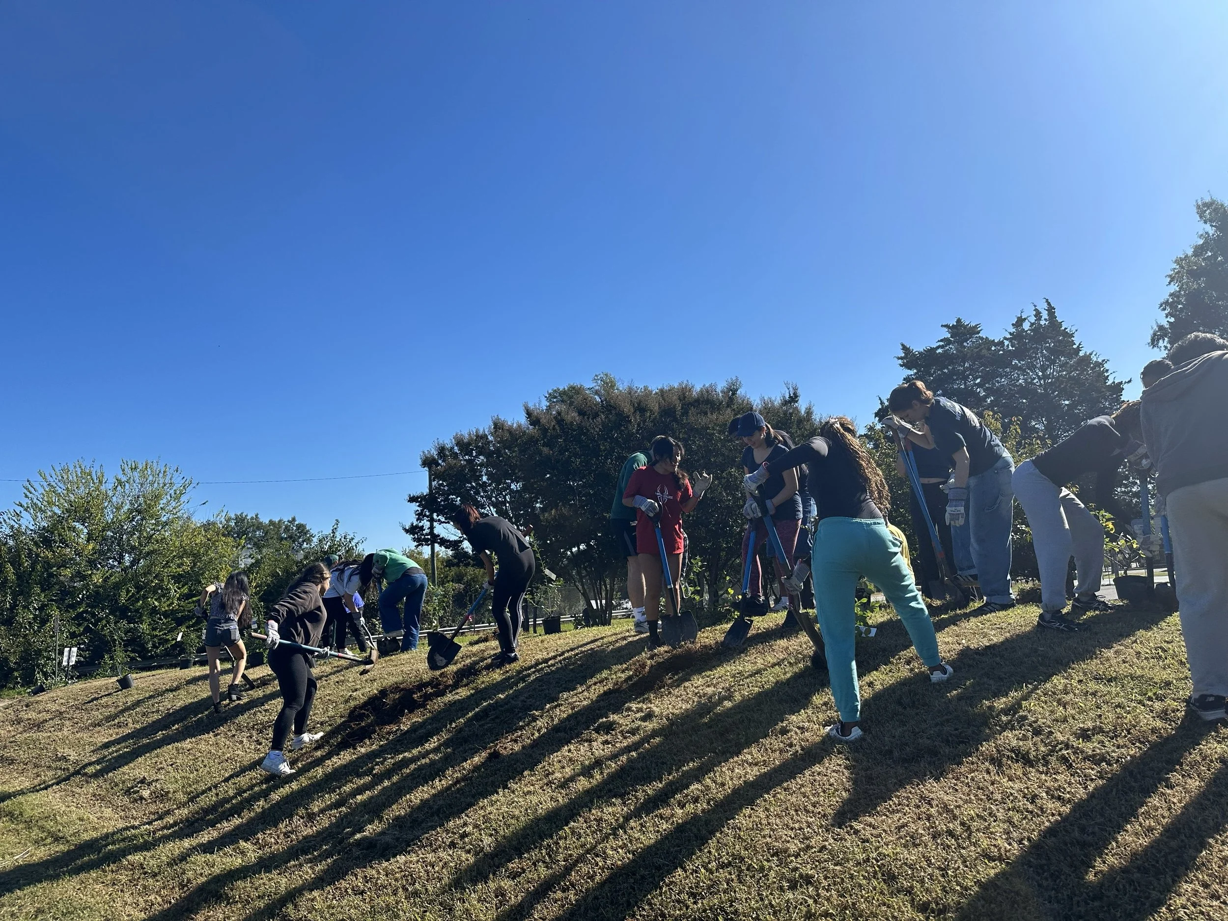 10_4_2025 - Blueberry Hill Install (5).jpg