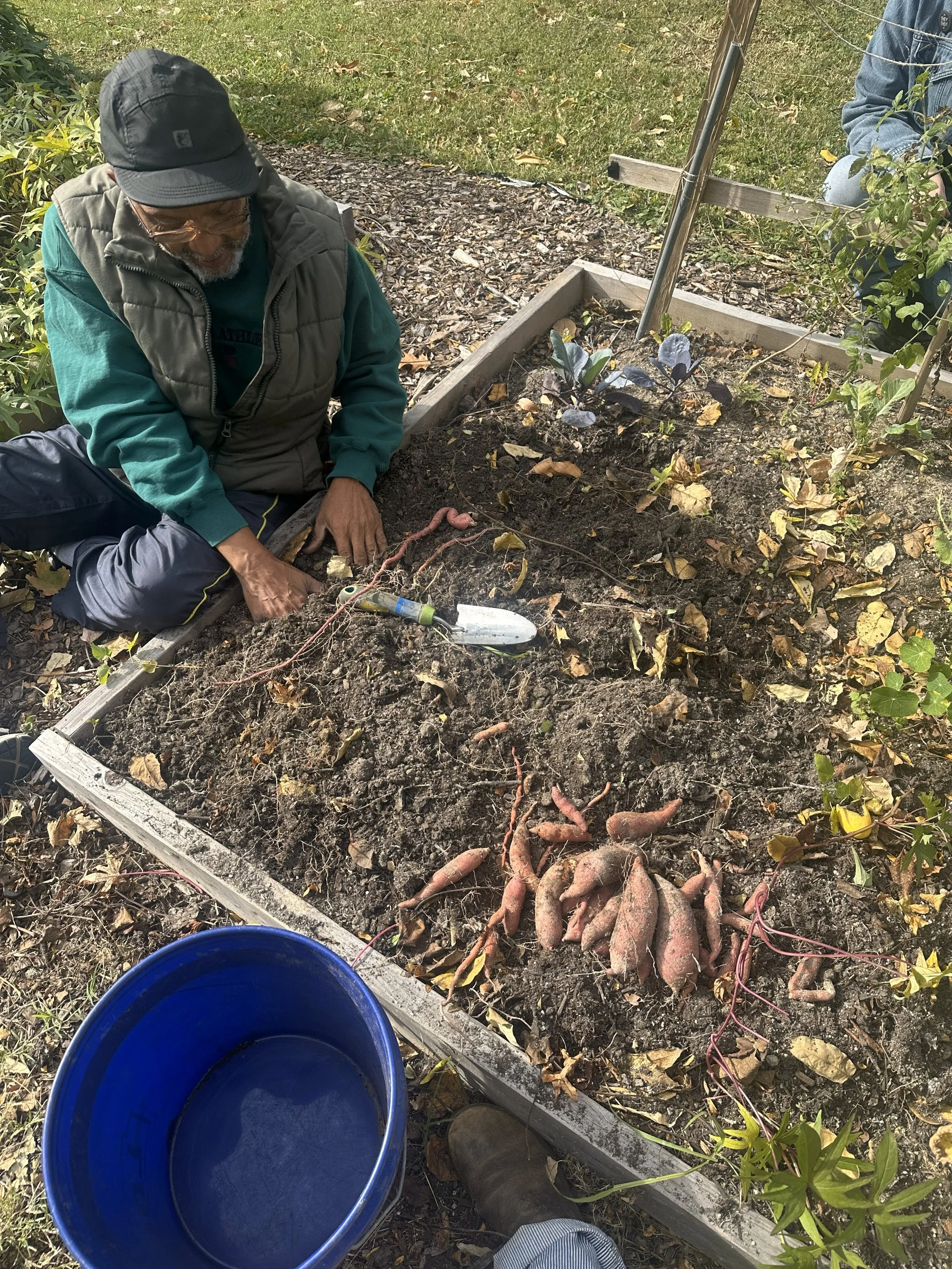 10_29_2025 - Sweet Potato Harvest (3).jpg