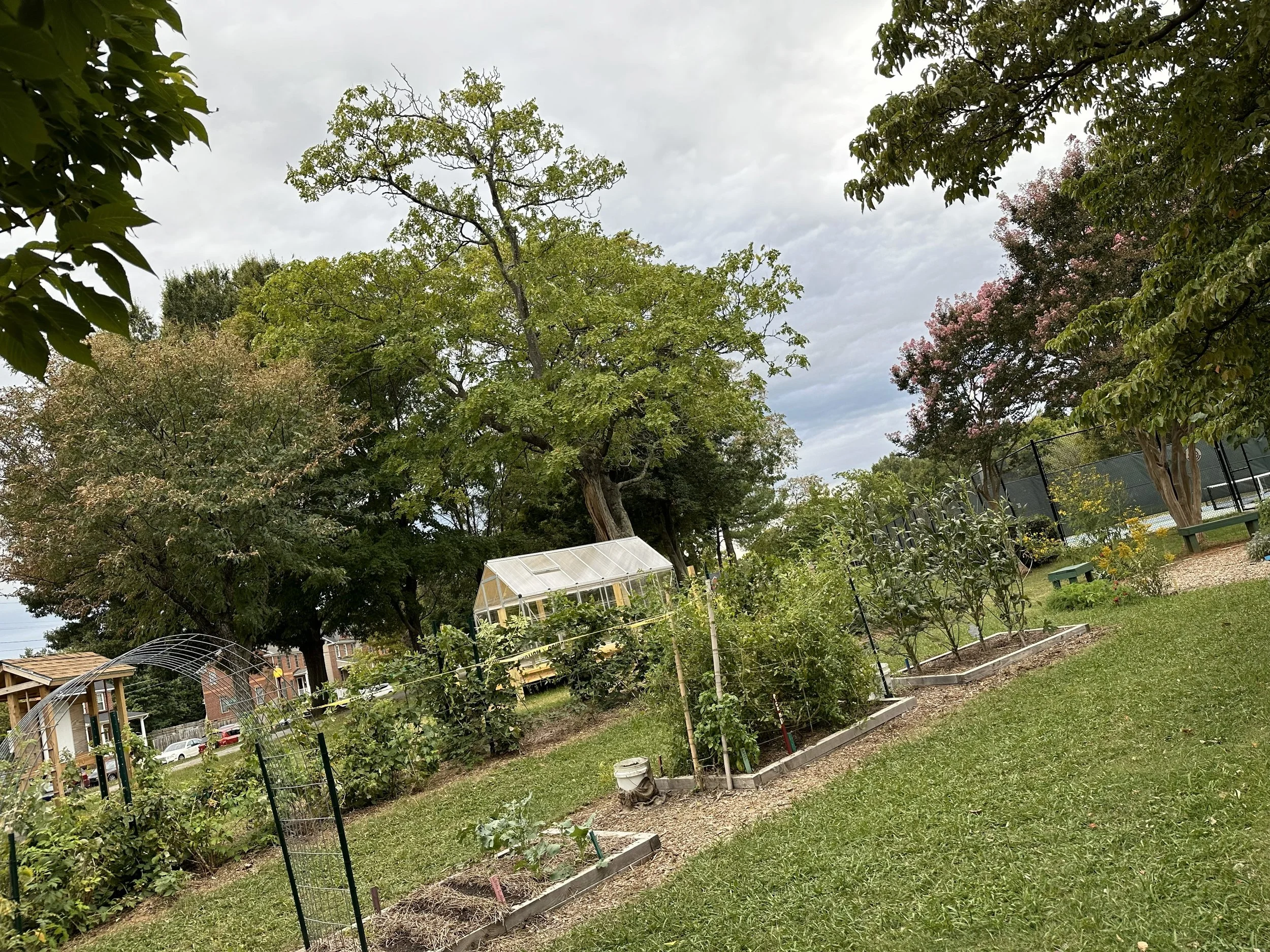 September _ Greenhouse Build (2).jpg