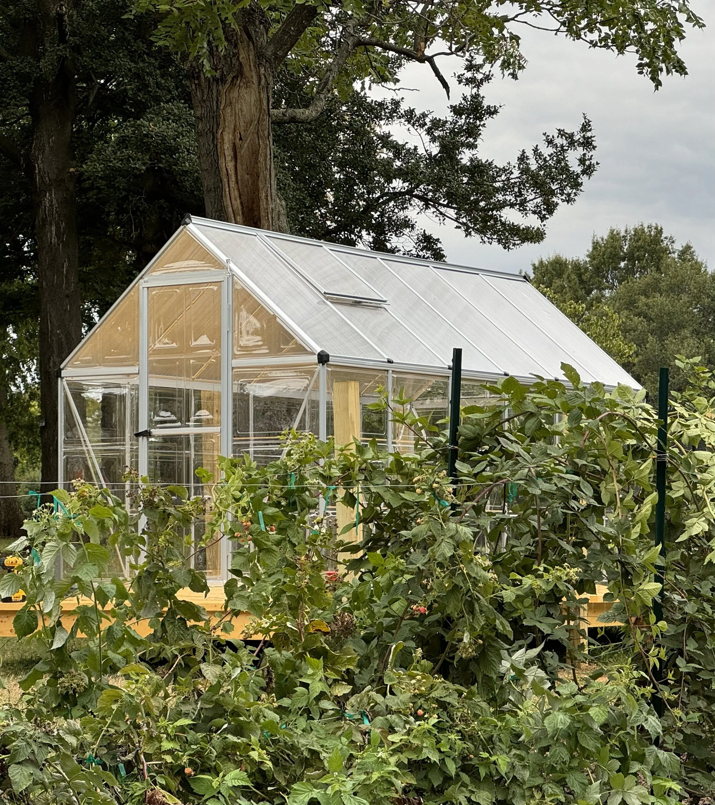 September _ Greenhouse Build (9).jpg