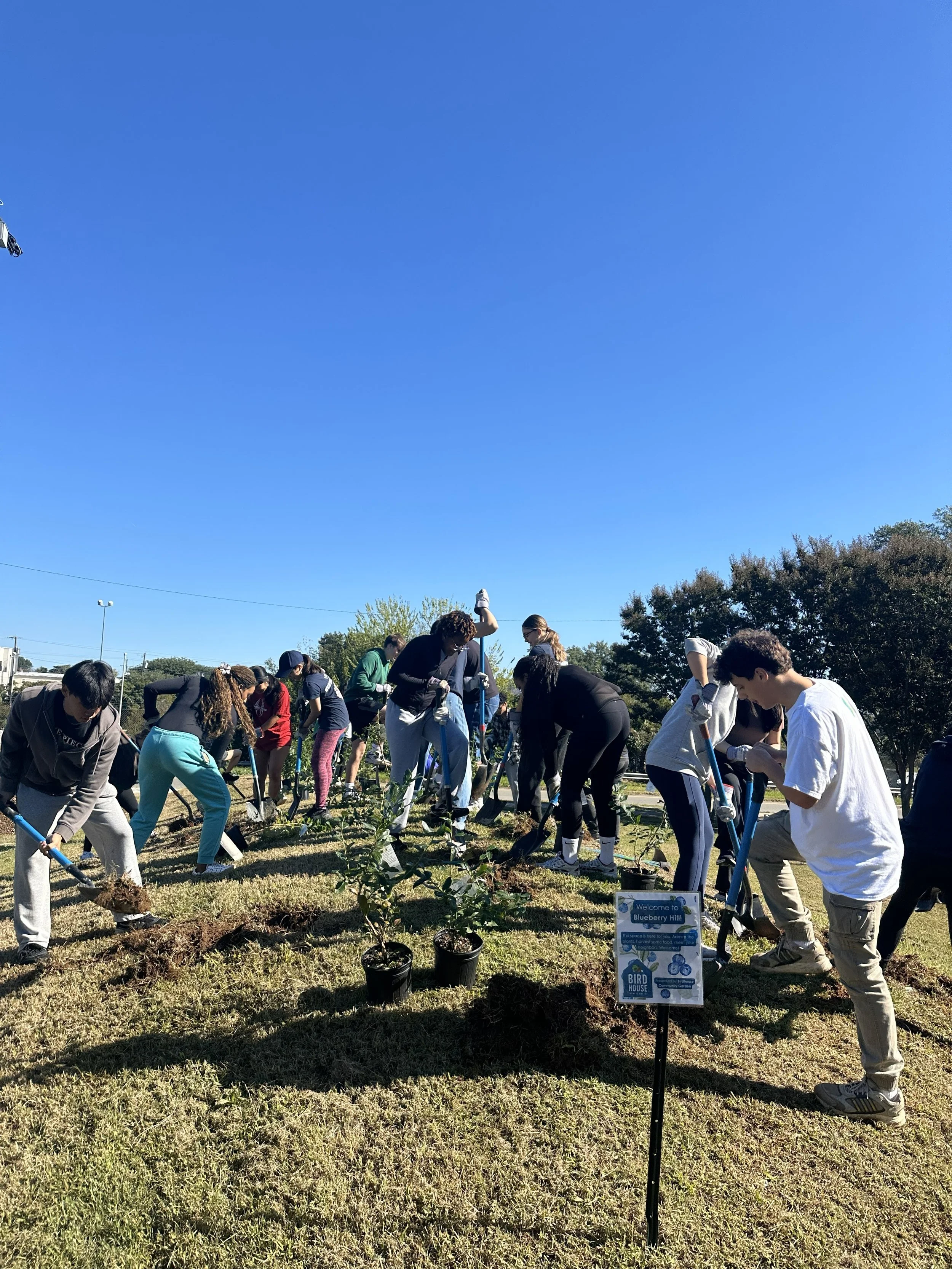 10_4_2025 - Blueberry Hill Install (13).jpg