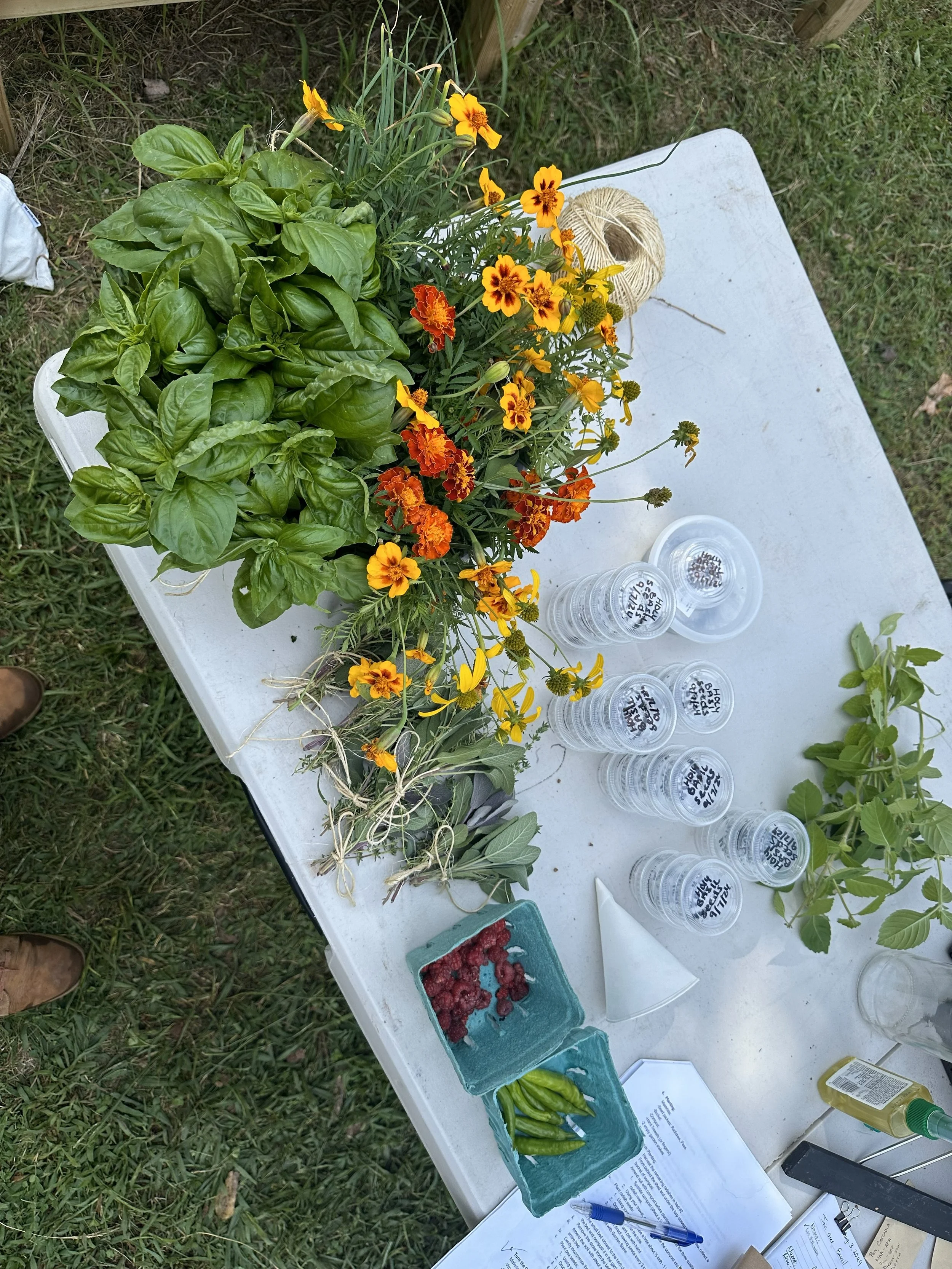 September _ Greenhouse Build (6).jpg