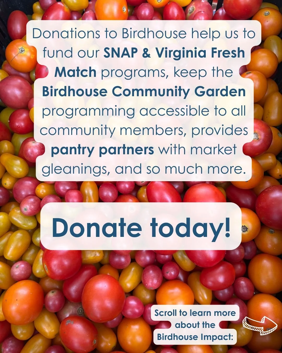 BFM Impact Campaign (6).jpg