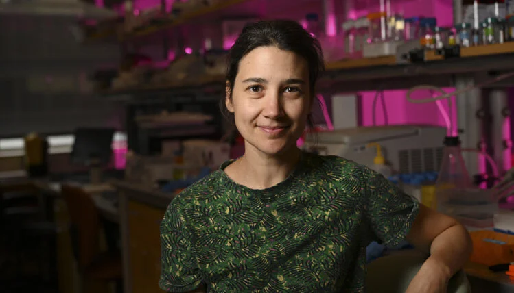 Dr. Susana da Silva from the University of Pittsburgh Awarded $69,859 Knights Templar Eye Foundation  Grant for Embryonic Fovea Development and Foveal Hypoplasia Research