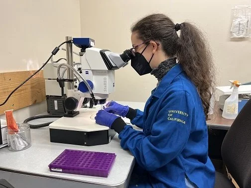 Dr. Corinna Cozzitorto from University of California awarded $70,000 Knights Templar Eye Foundation grant for Ocular Anterior Segment Dysgenesis (ASD) Research