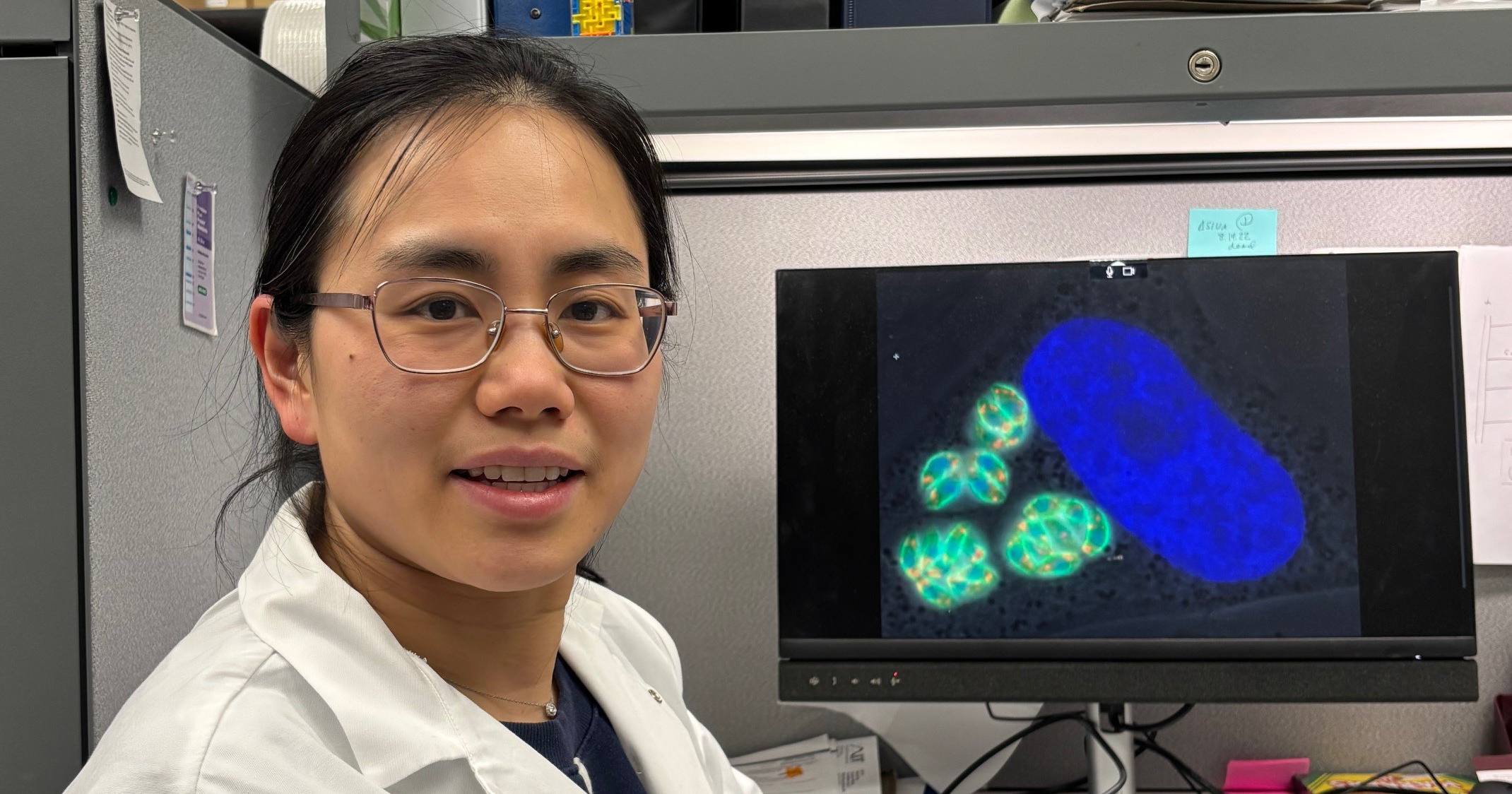 $90,000 KTEF Grant Supports University of Michigan’s Fengrong Wang, PhD, in Ocular Toxoplasmosis Research