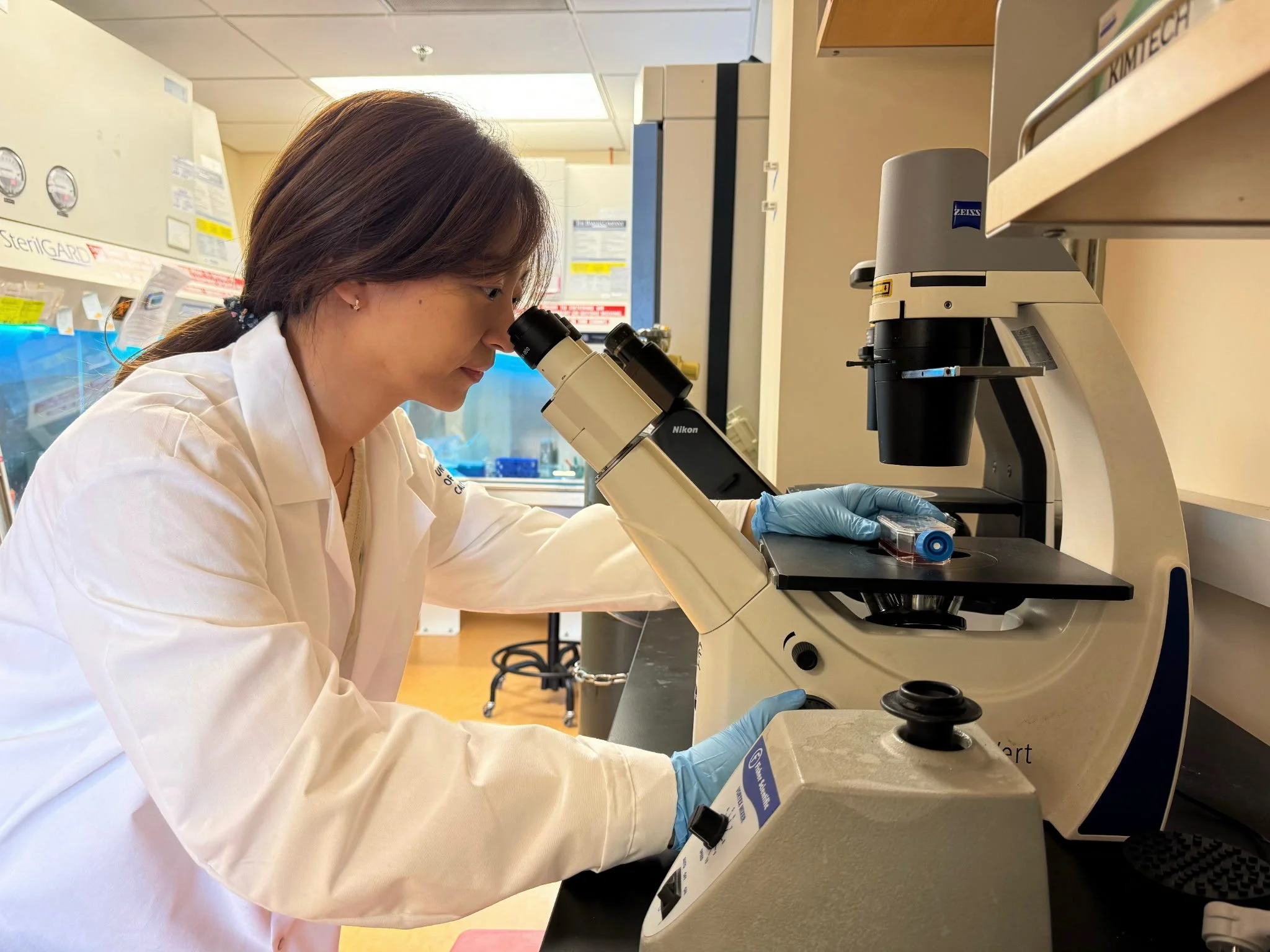 UCSF’s Yao Tong, MD, PhD, Receives $90,000 KTEF Grant for Stargardt Disease Research