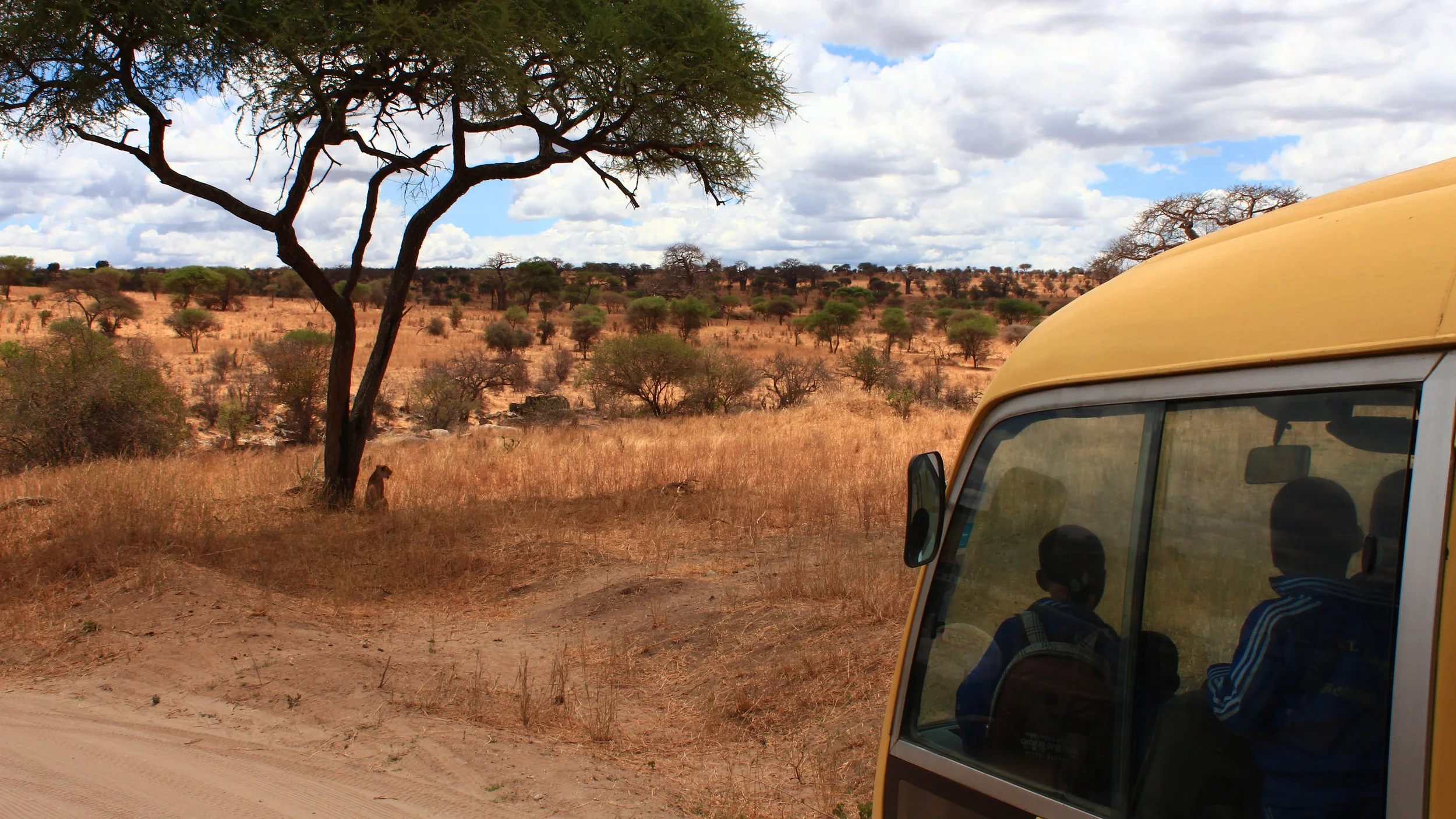 Tanzanian school trips are different