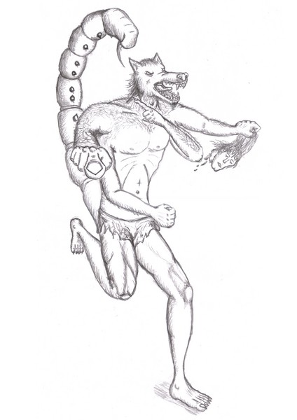 2007_a.jpg