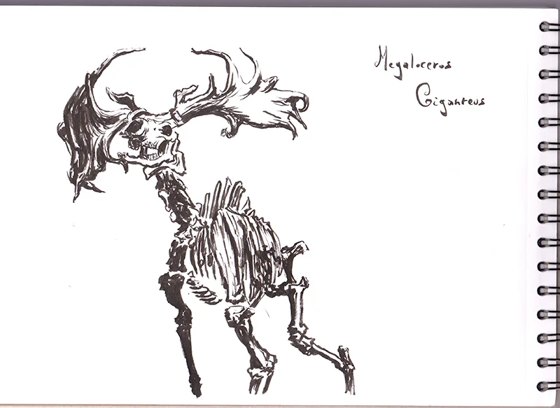 Paris_Dessins_6.jpg