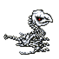 Skeleton Moa