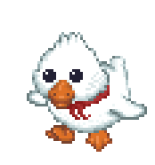 Duck pet