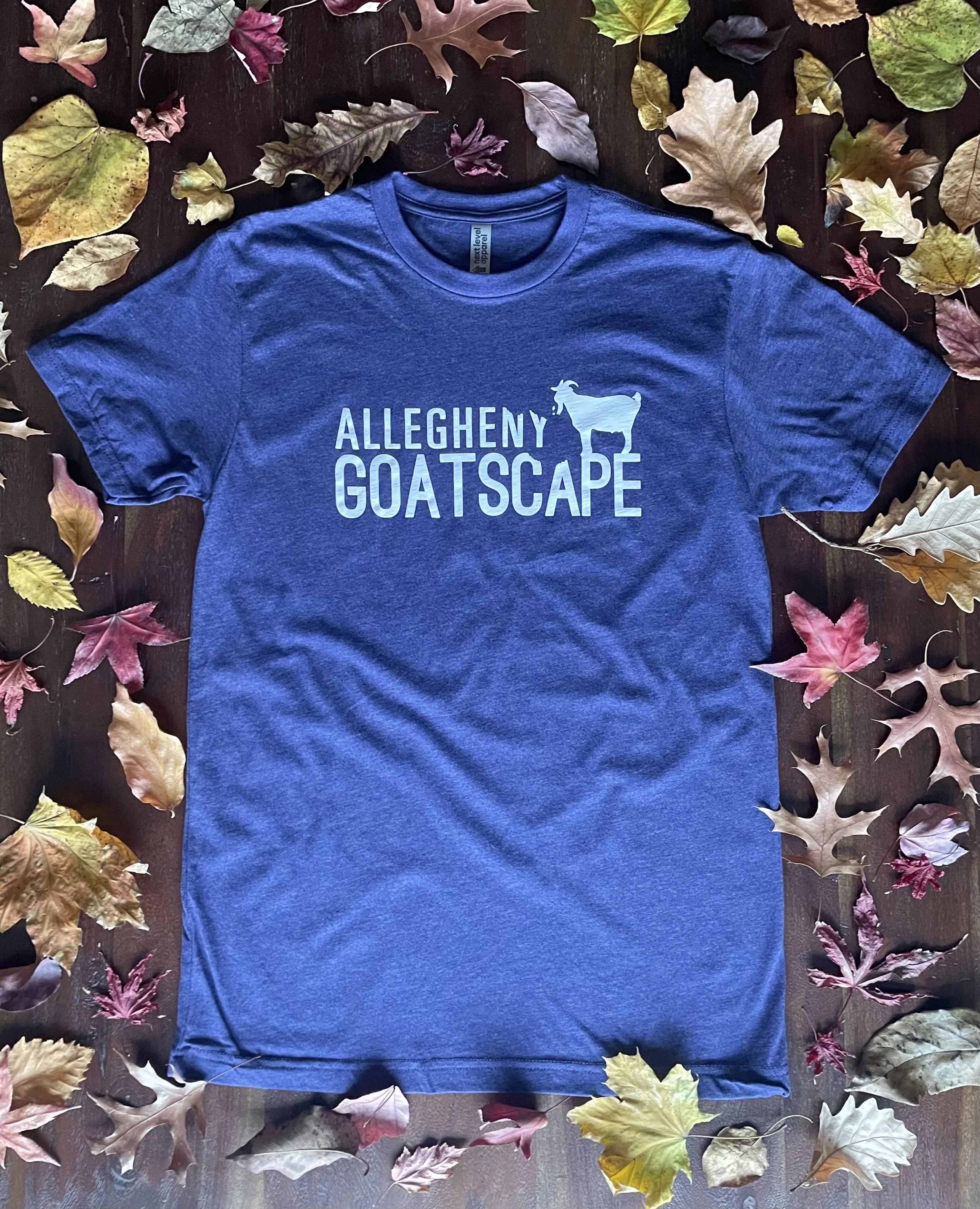 Storm Blue Shirt.jpg
