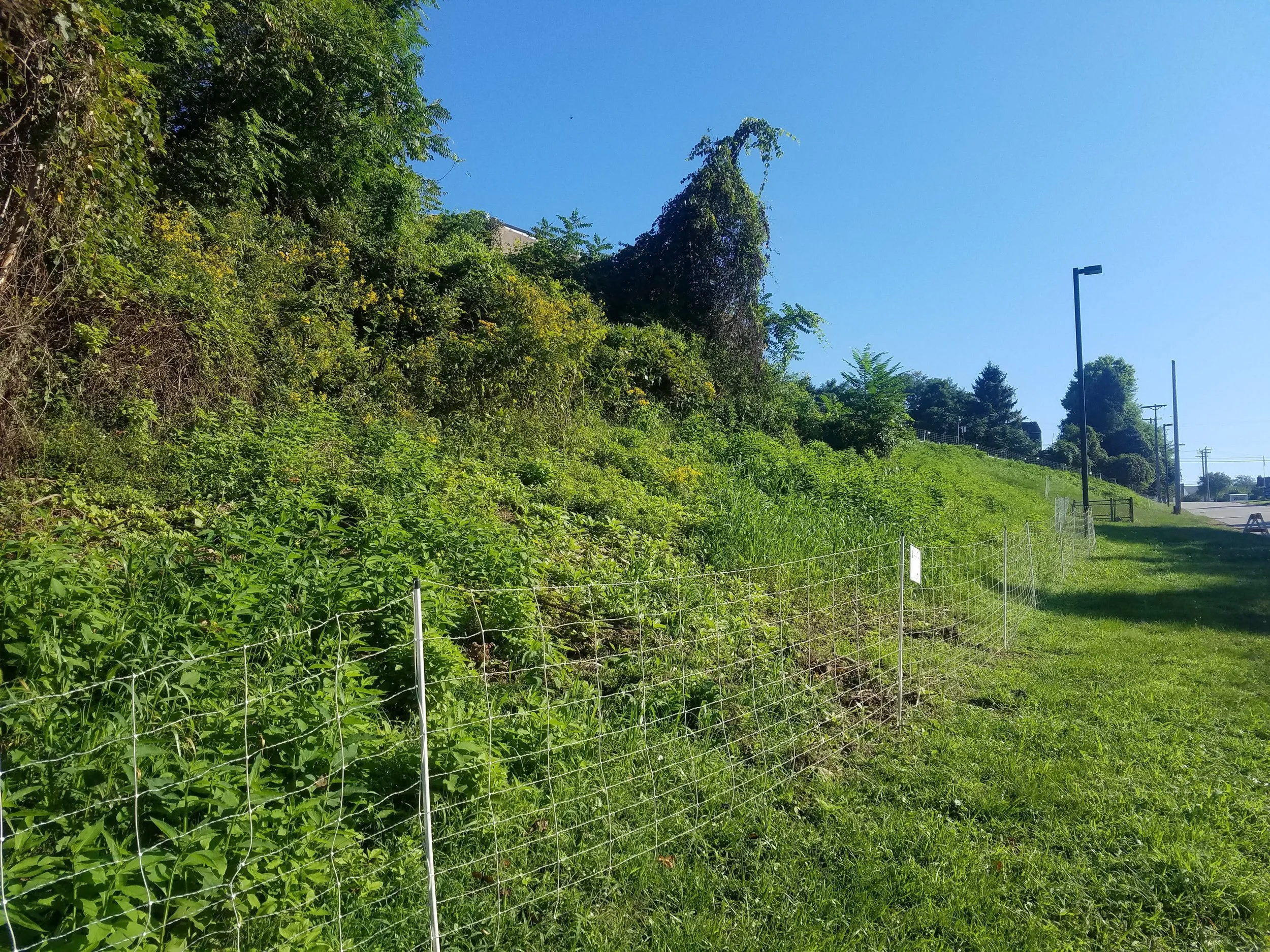 20180904_093611.jpg
