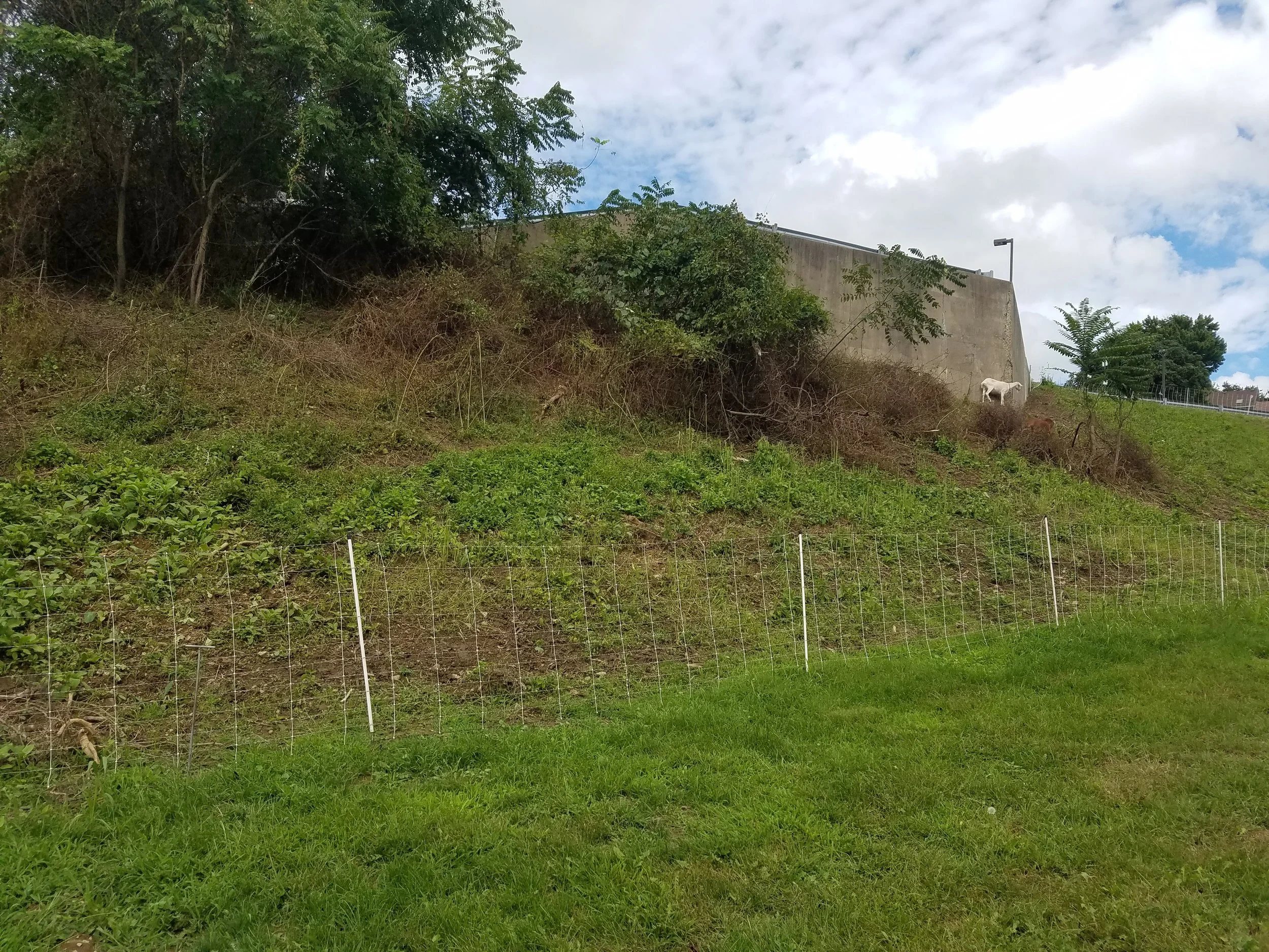 20180913_125157.jpg