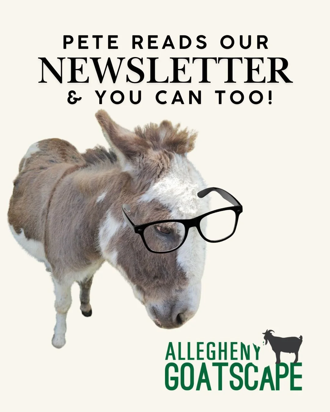 Check out our recent newsletter - link in bio! 
.
.
.
#goats #donkeys #supportnonprofits #landmanagement #goatsofinstagram