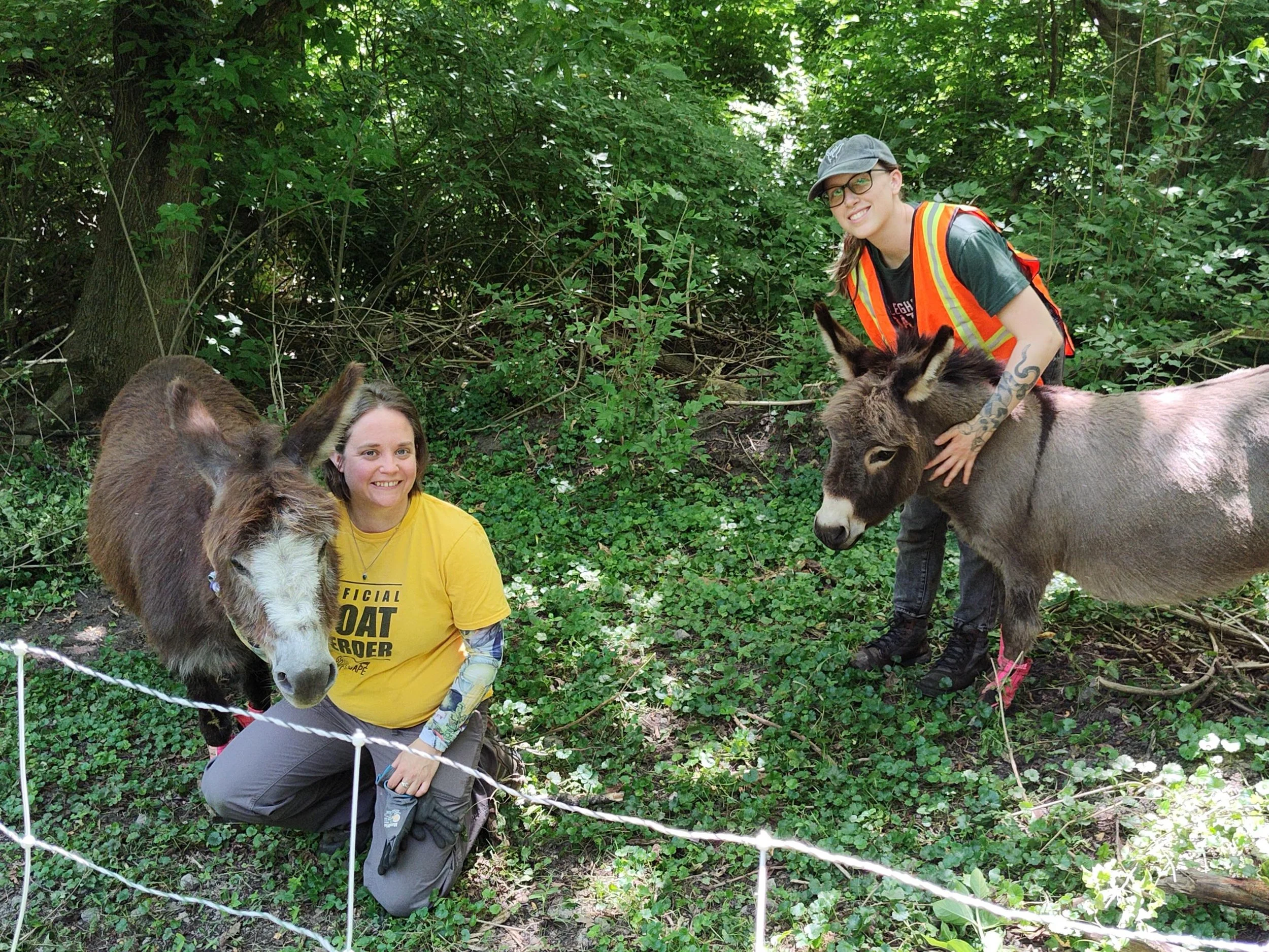 Thanks to all the volunteers &amp; staff who attended our handling event, helped set up sites, and checked on our animals recently! Erin, our Herd Health Manager does such an incredible job sharing her expertise and helping others feel comfortable, c