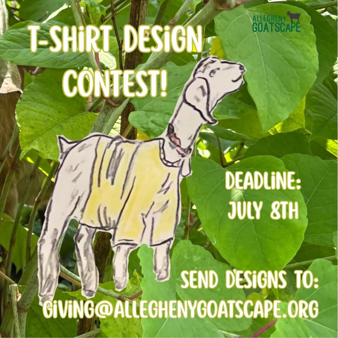 We&rsquo;re hosting a t-shirt design contest to celebrate our 10th working season! Join us in the fun and submit your original artwork. The top designs will be publicly voted on starting at @goatfestpgh !! 

.

.

.

#pittsburghart #pittsburghartist 