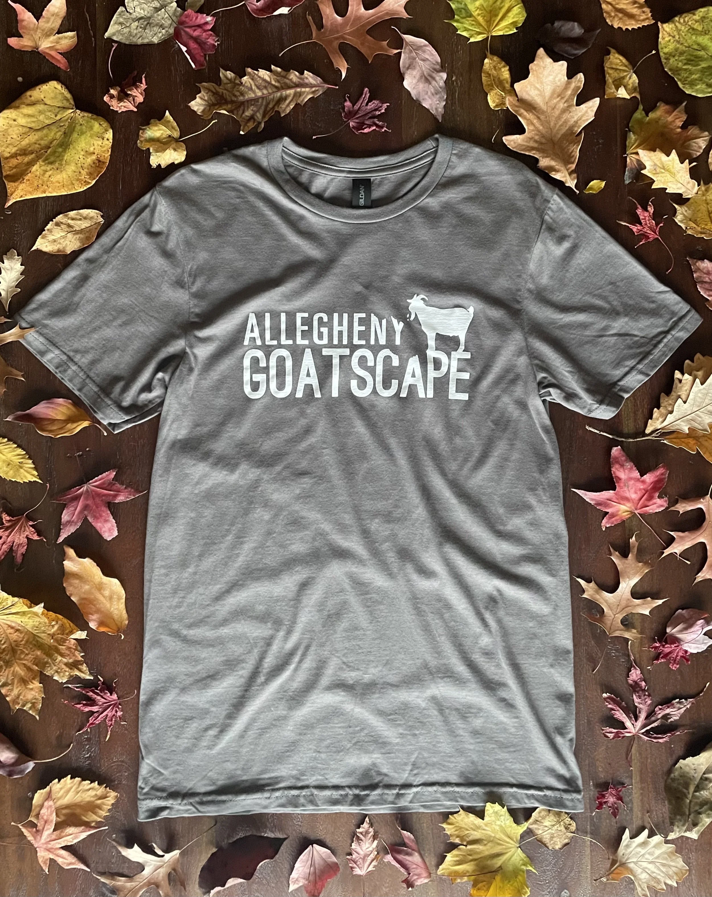 Grey Shirt.jpg