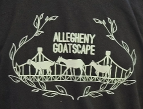 close up 2024 SE Goat Shirt Black.png
