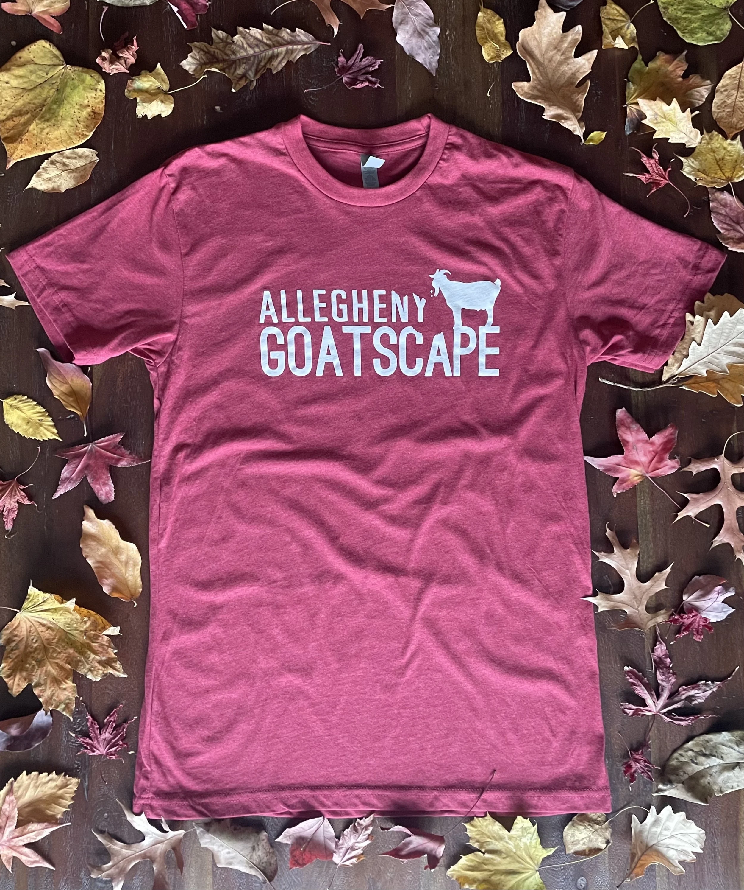 Cardinal Red Shirt.jpg