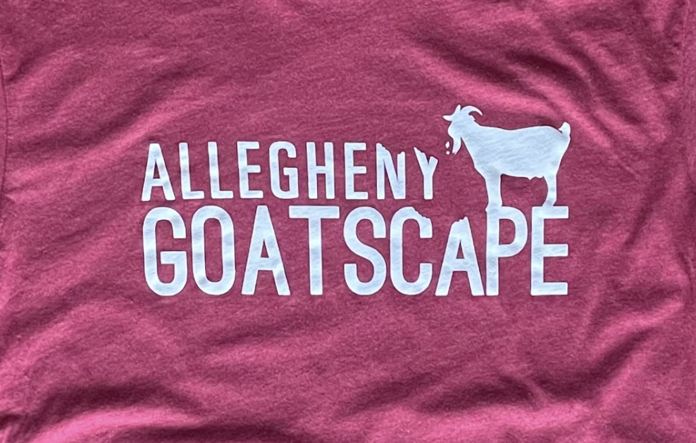 close up cardinal red.png