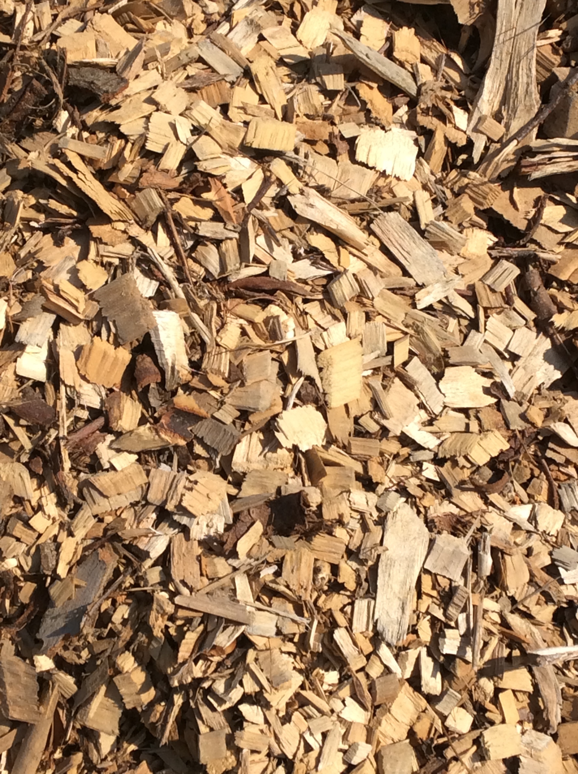 Wood Chips