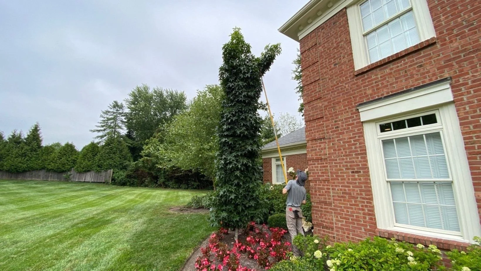 Winter Pruning Landscape With Trees - Seilers Landscaping