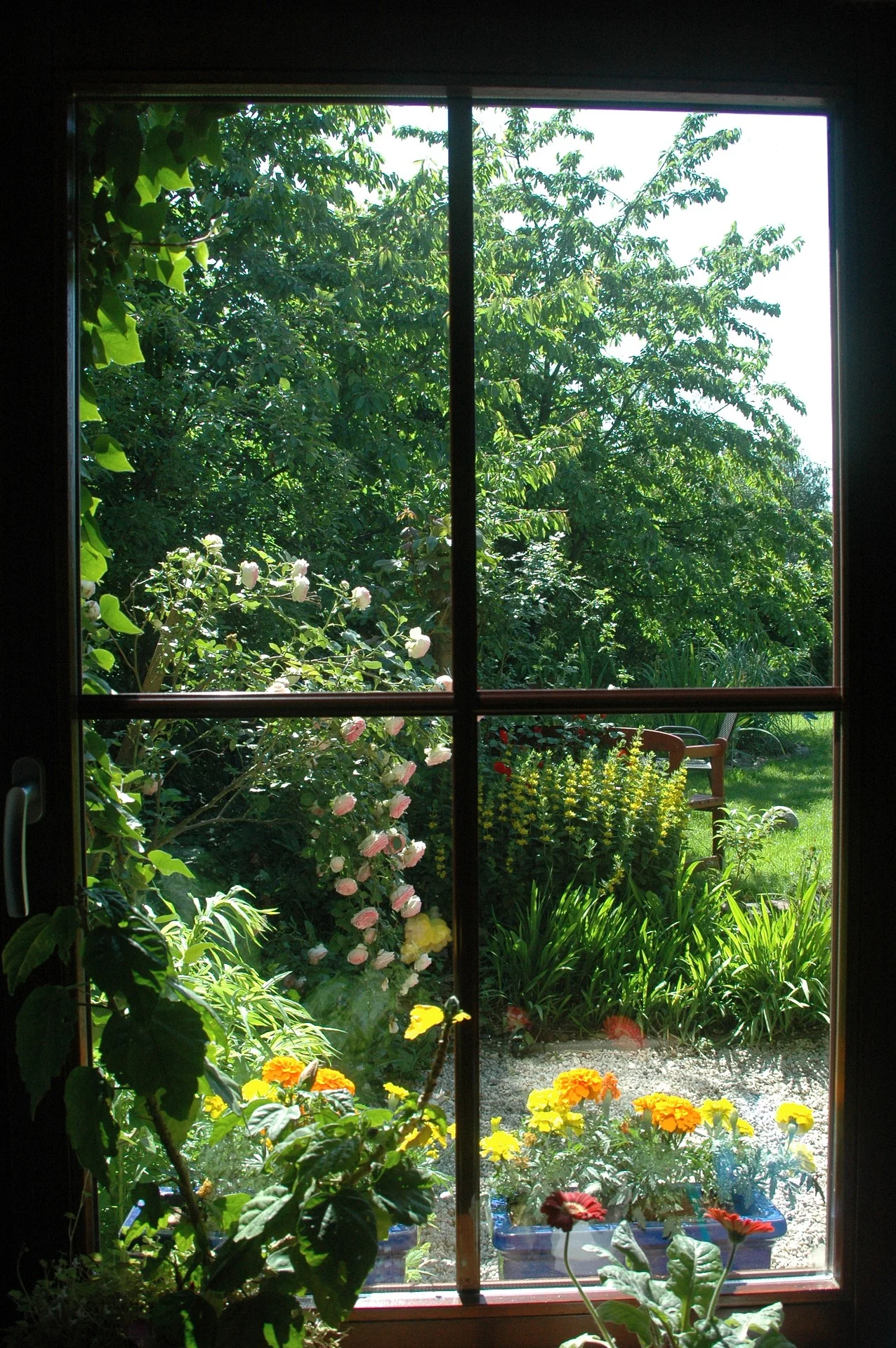 garden-2261847_1920.jpg